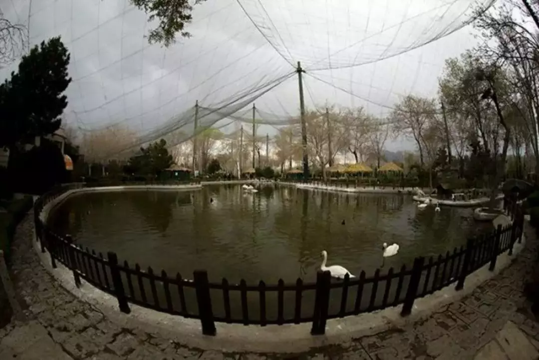 باغ پرندگان اصفهان