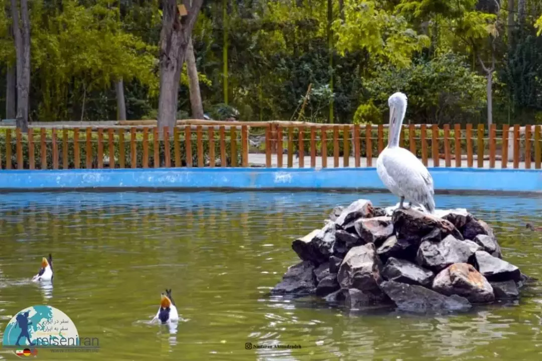 باغ پرندگان اصفهان
