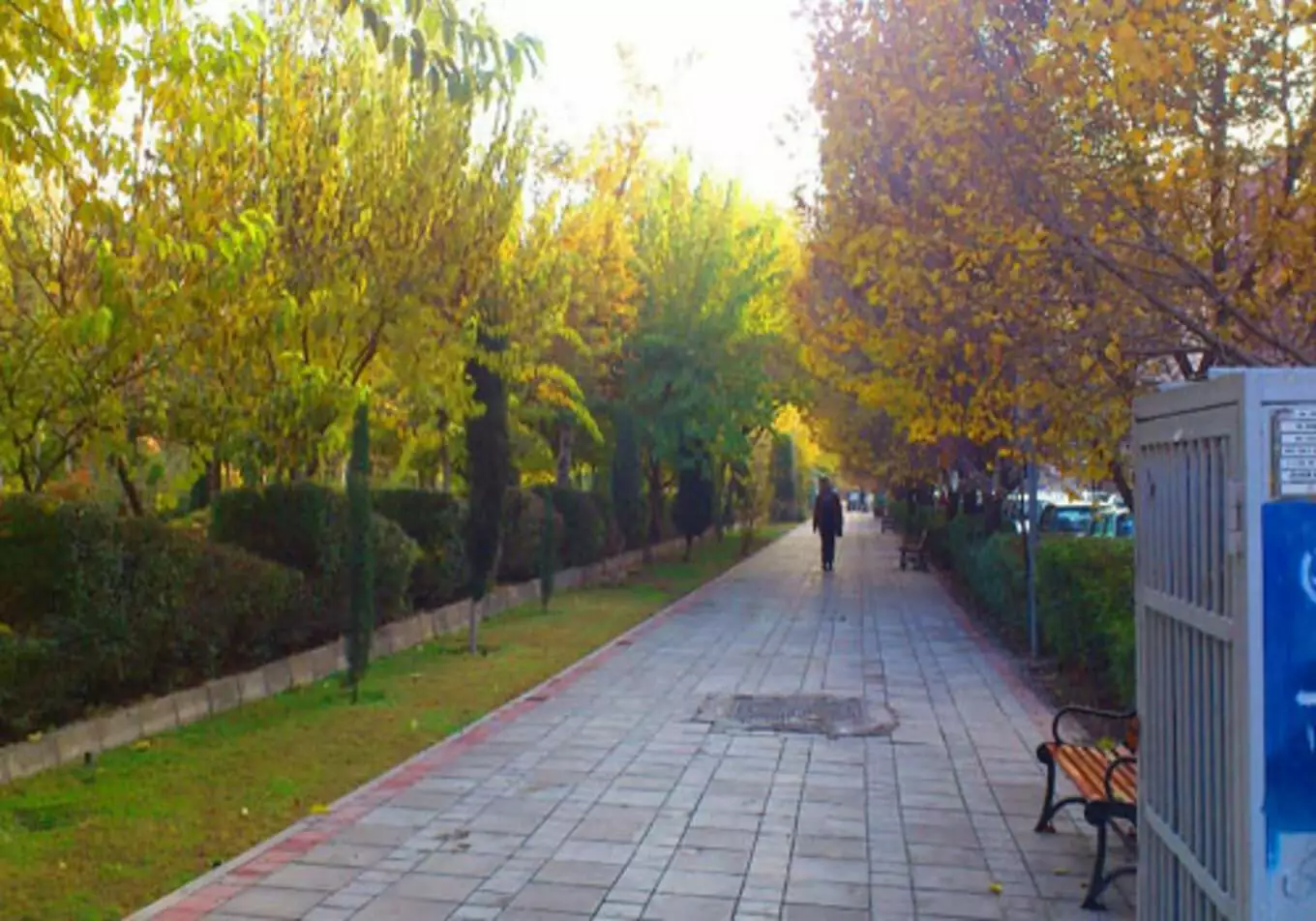 عکس پارک هنرمندان