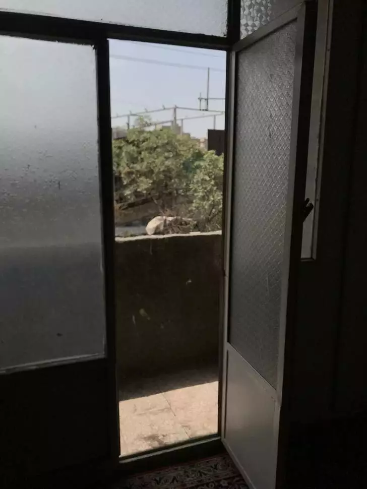 عکس خانه سبز هامونیان