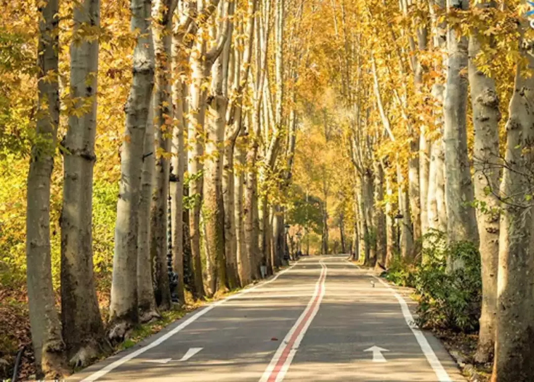 کاخ سعدآباد (عکاسی با هماهنگی قبلی)