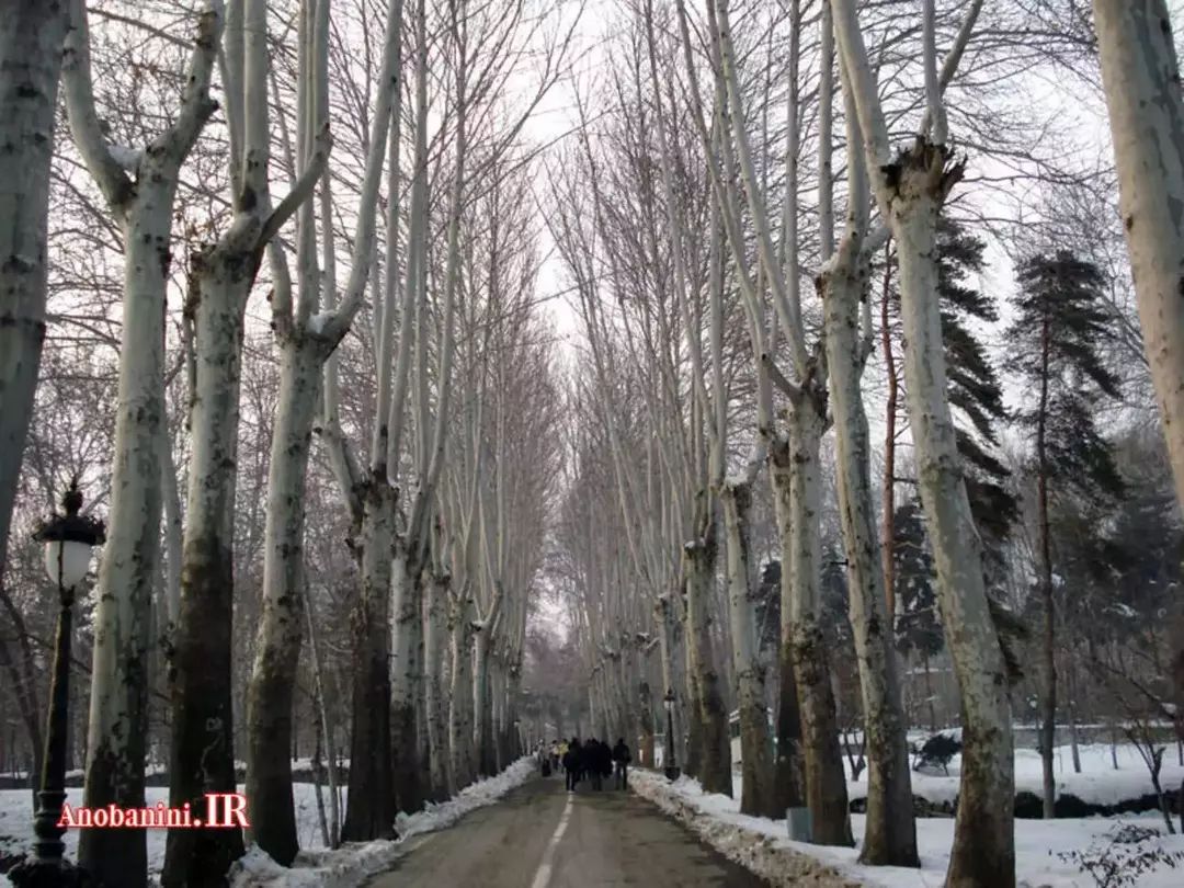 کاخ سعدآباد (عکاسی با هماهنگی قبلی)