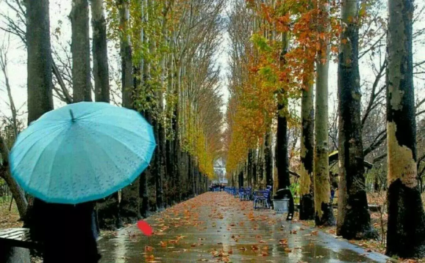 عکس باغ فاتح