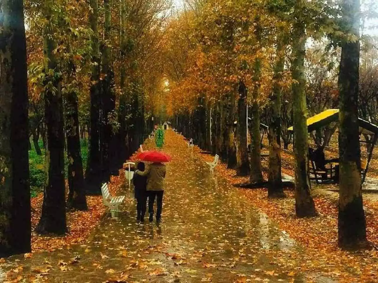 عکس باغ فاتح