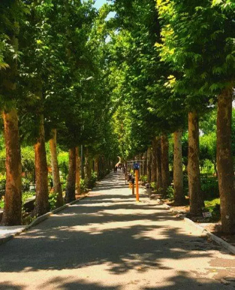عکس باغ فاتح