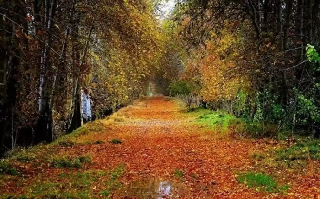 روستای آتشگاه