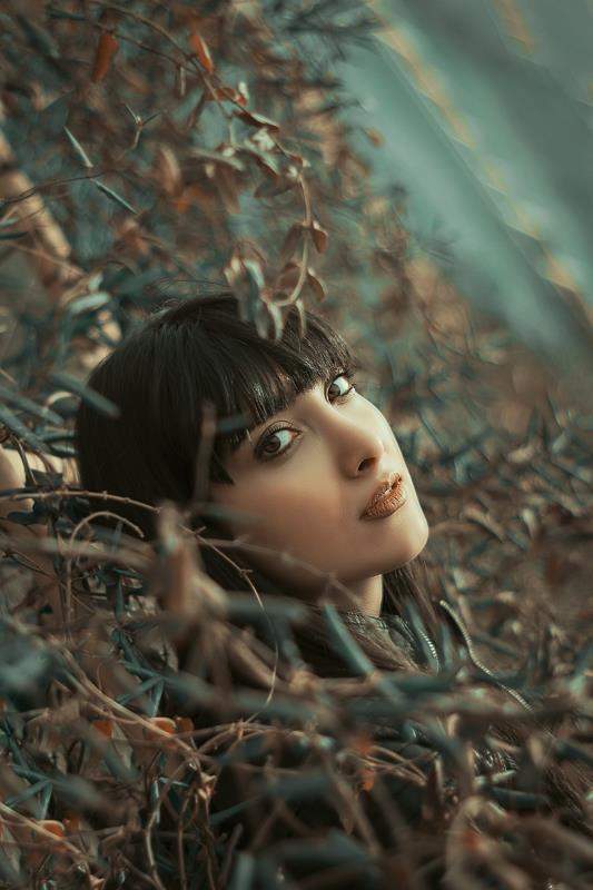 عکاسی چهره - پروفایل