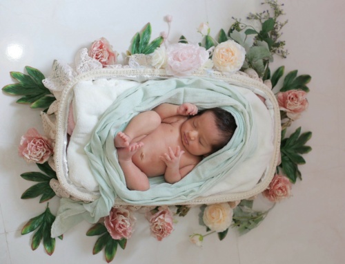 عکاسی حرفه ای از نوزاد در کادرو با استفاده از ایده گل طبیعی 