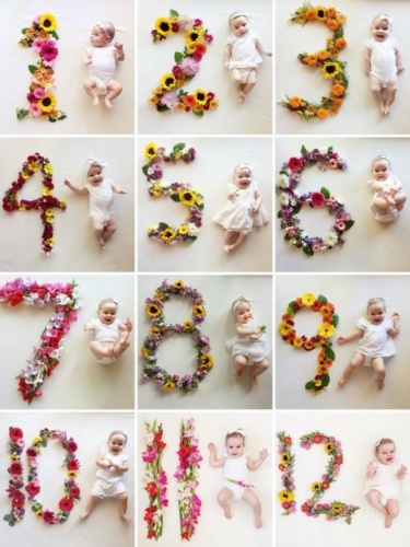 ایده جذاب عکاس ماهگرد نوزاد و ساخت آلبوم عکس با استفاده گل طبیعی 