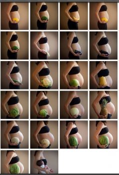 maternity weekly photography
